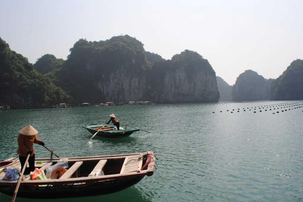 Vietnam travel and transfer service photo 01