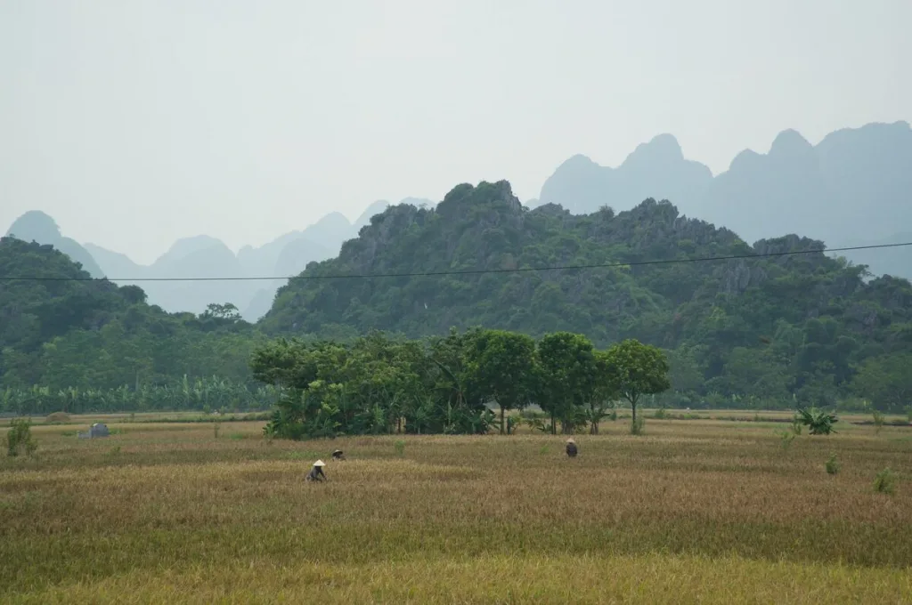 Vietnam travel and transfer service photo 09