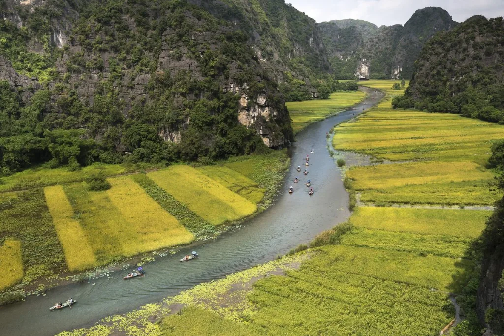 Vietnam travel and transfer service photo 12